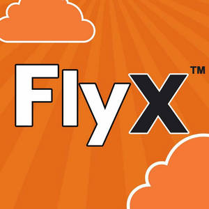 FlyX